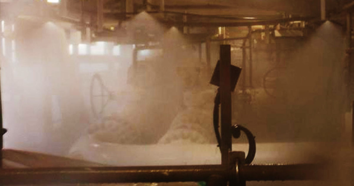 Wet Testing Paradigm Group