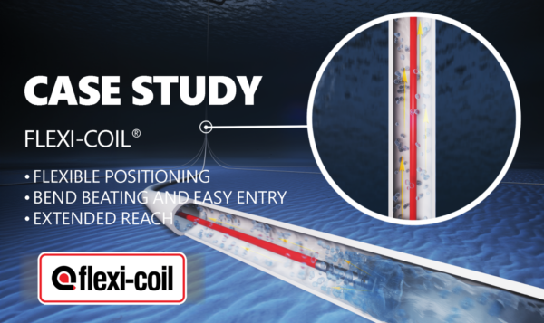 PFS CS Hydrate Remediation In Riser Gas Lift